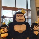 광화문살롱 이미지