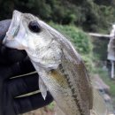 살구골낚시터 이미지