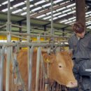 동실농장 이미지