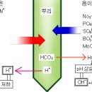 수소이온 농도 (pH) 란? 이미지