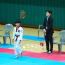 한림태권도체육관 이미지
