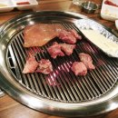 서민갈매기 이미지