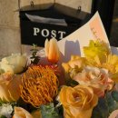 용연동길 이미지