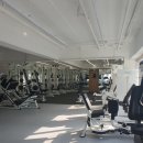 뷰티풀피티 이미지