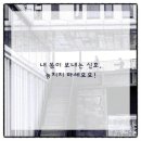 영통단단마디의원 이미지