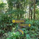 영실농장 이미지