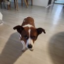 여중사거리 이미지