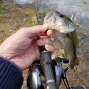 어둔저수지 이미지