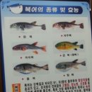셰프문경희 | 경남사천맛집 ‘쉐프 문경희’ 후기