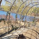 (주)보담