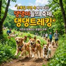 댕댕트레킹 2026 핵심 정보 총정리