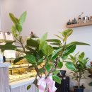 바른안과 이미지