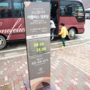 명곡 당구장 | 홍천 대명리조트 소노펠리체 골드스위트 후기!