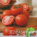 토마토온누리약국 이미지