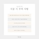 착한속눈썹