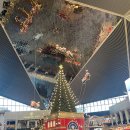 오로라마켓 | 인스파이어 리조트 크리스마스 후기｜오로라 쇼가 진짜 메인이었다