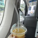 금토일투어 | 세부투어 인생샷 마지막날 투어 후기