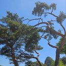 칠봉 송정 캠핑장 이미지