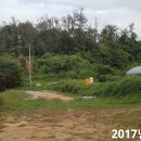 신정농장 이미지