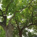 여산파출소 이미지