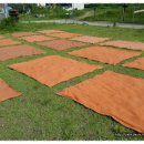 봉양중학교 이미지