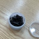 신가반점 이미지