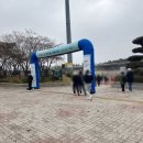 완주군 보건소 | 양재천 러닝코스 벚꽃길, 과천시 걷기대회 완주 후기