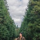 늘보목장 이미지