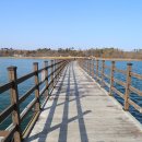 영랑호 범바위 이미지