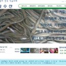 통영 바다장어 전국 직송 도매 5kg 이상주문.kg당 20.000원.한정판매 이미지