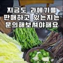 제주 연동 횟집 오래옥 식당에서 과메기 먹고왔던 날 후기 이미지