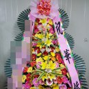 육육플라워