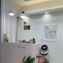 애즈브로우