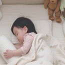 이불나라 이미지