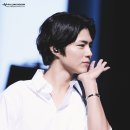 Blossom for you 이미지