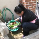 화치 경로당 이미지