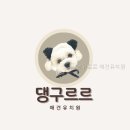 댕구르르 쉬어가시개 | 댕구르르 애견유치원 분류부터 보는 선택 전 체크포인트