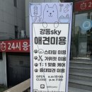 SKY동물병원 이미지