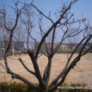 해오름관광펜션 이미지