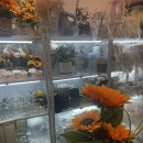 용산-이촌-430 이미지