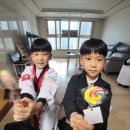 용인대 크는나무 태권도장 이미지