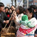 금산군청 광장 이미지