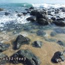 방아골농장 이미지