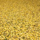 곽재우장군문화공원 이미지