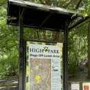 서울숲 dogs 이미지