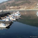 사철나무집민박 이미지