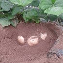 생물자원연구소 이미지