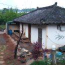 대안1길 이미지