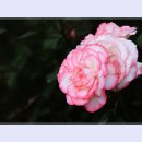 곡성-158 이미지