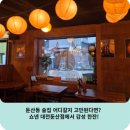 세븐일레븐대전둔산여고후문점 | 둔산동 술집 어디갈지 고민된다면? 쇼넨 대전둔산점에서 감성 한잔!